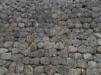 Kanazawa162.jpg