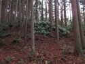 Kozutsumijou (75).JPG