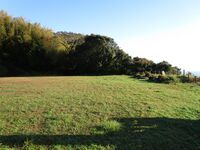MaedaDaiba09.1.JPG