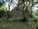 Nanzan Castle Ray 1.jpg