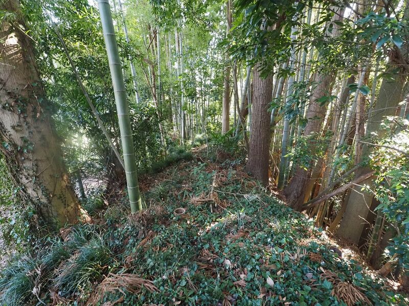 File:Odori8.jpg