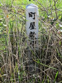 OnikumaYakata (13).JPG