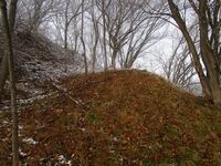 Tōnoharajō13.7.JPG