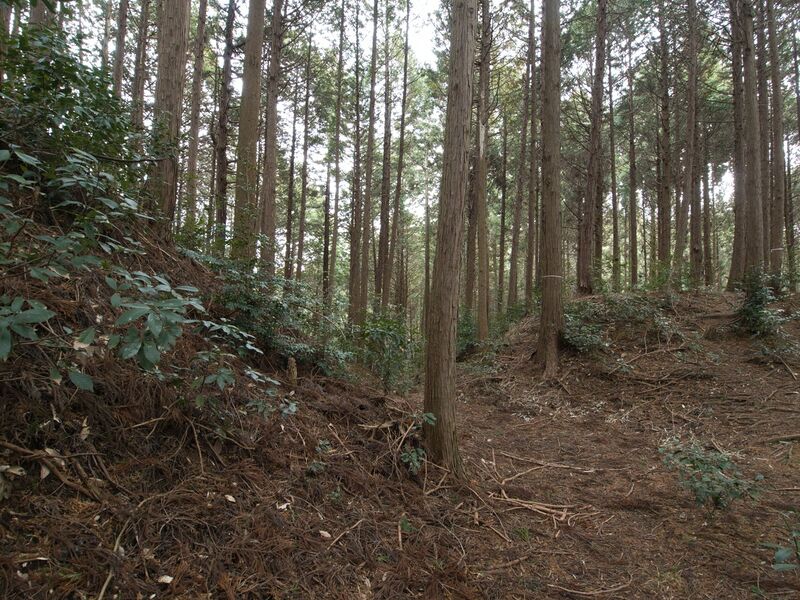 File:Wadakoka25.jpg