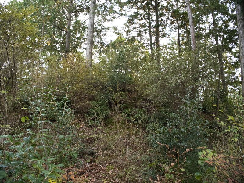 File:Hannyajitanba2.jpg