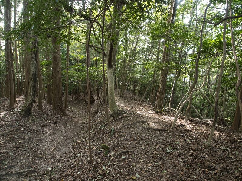 File:Ichijojiyama12.jpg