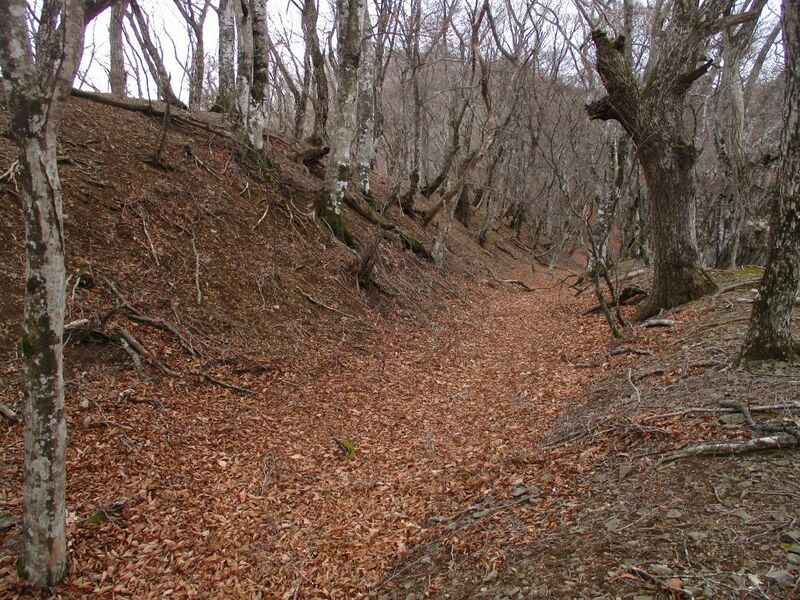 File:MisakajouB (54).jpg