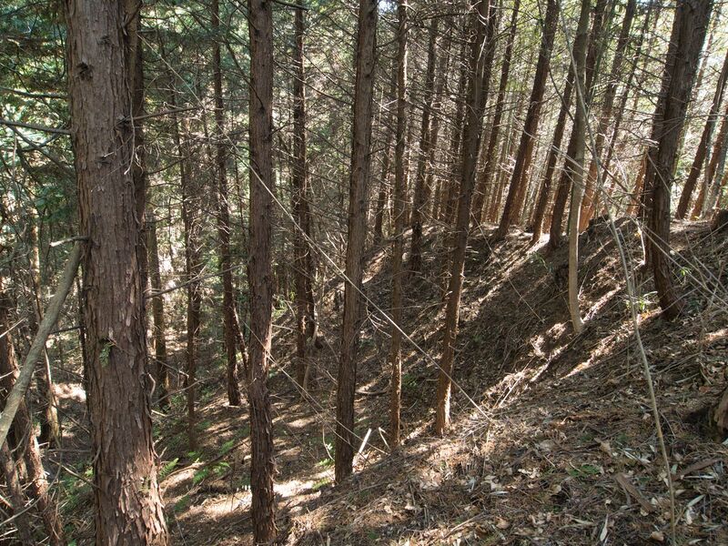 File:Shimoyamakita9.jpg