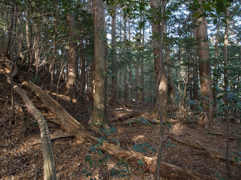 File:Shizuharanorth25.jpg