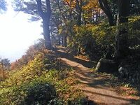 Uehara1.jpg