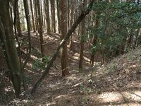 Yagyufurushiro13.jpg