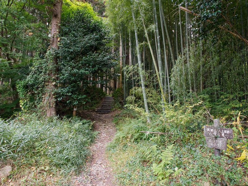 File:Yakamitanba2.jpg