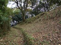 Akitakayama44.jpg