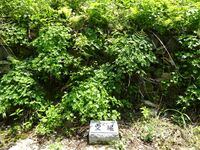 Futogejô(1).JPG