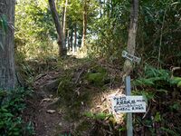 Higashigoma31.jpg