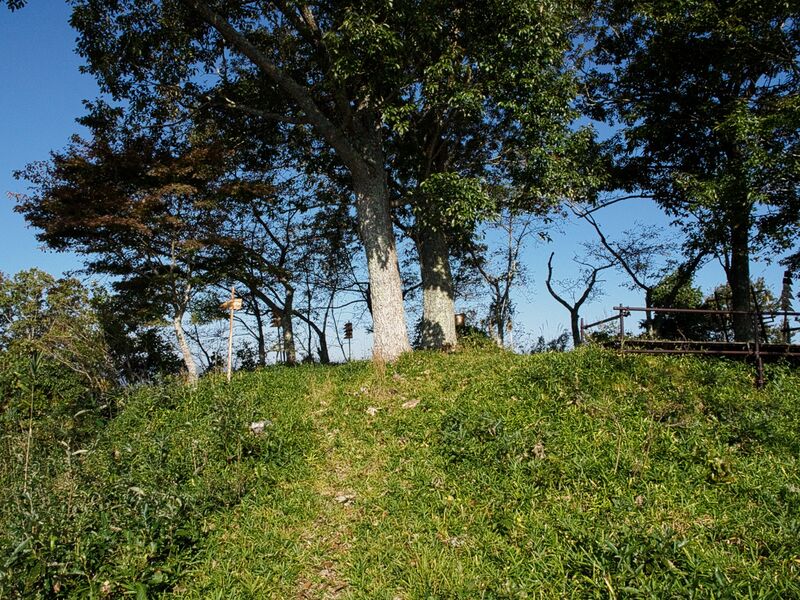 File:Iden14.jpg