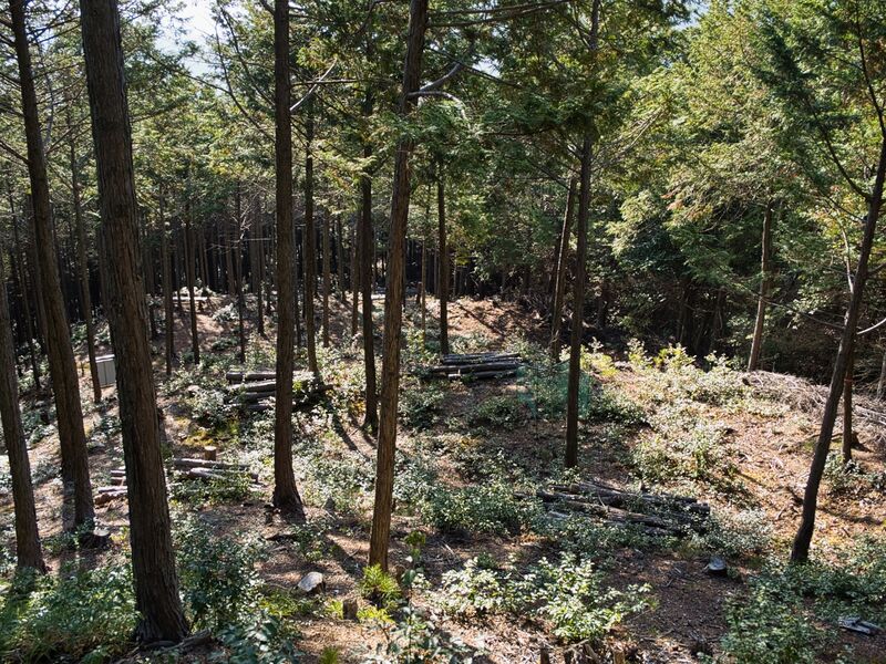 File:Kannosankyoto34.jpg