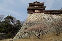 Matsuyama47.jpg