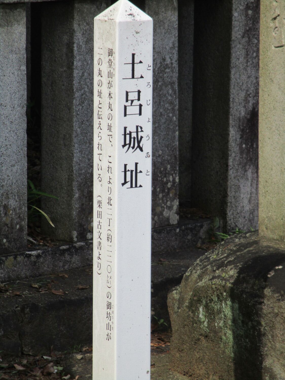 MikawaTorojou (10).JPG