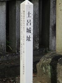 MikawaTorojou (10).JPG