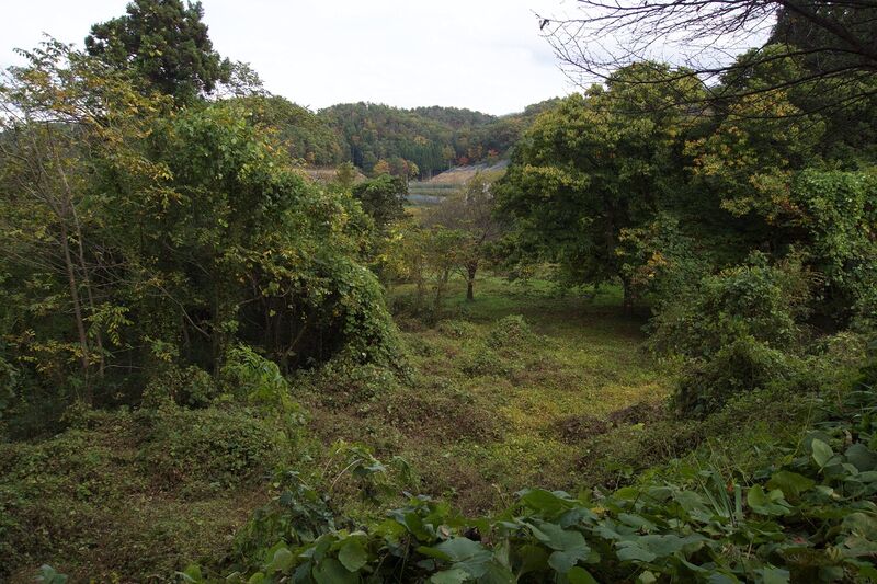 File:Narisawa4.jpg