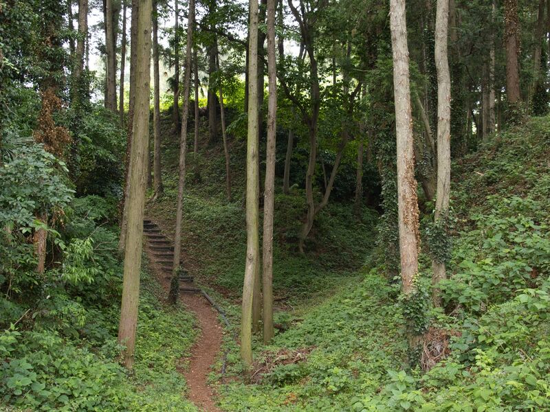 File:Shiroi17.jpg