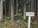 Tagaya4.jpg