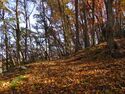 TsutsuhatajouV (4).JPG