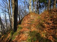 鴨ヶ嶽城 17.JPG