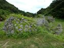 Chinen Castle Ray 4.jpg