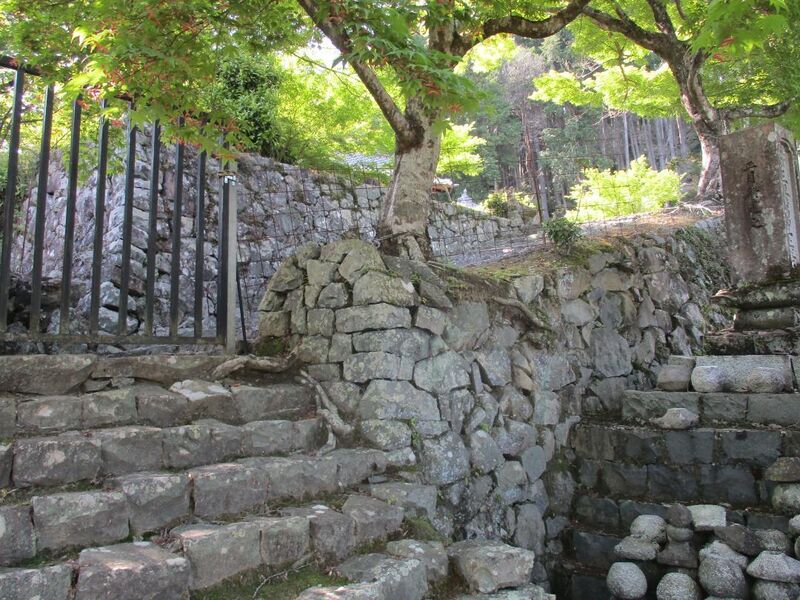 File:GaryuuzanjouA (39).jpg