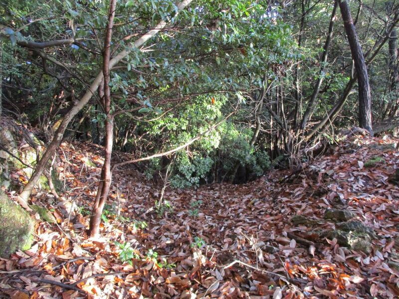 File:Ibijou012.jpg