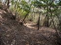 Inokurakyoto29.jpg