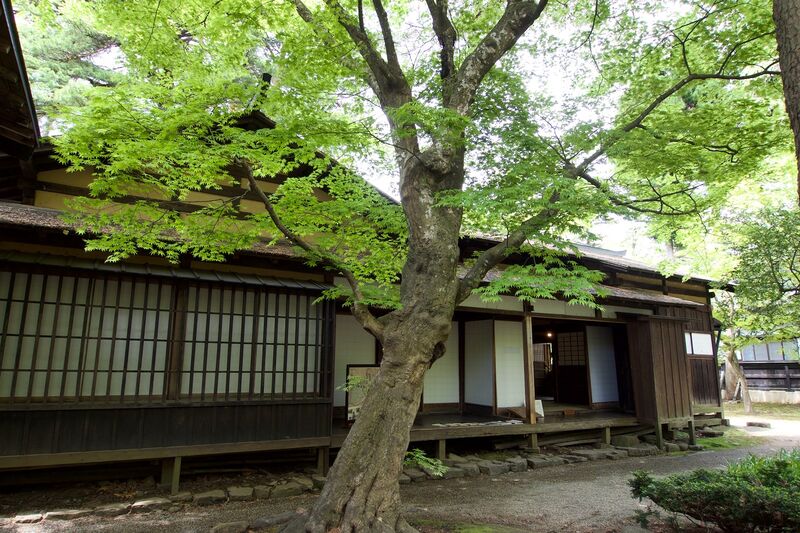 File:Iwahashi12.jpg