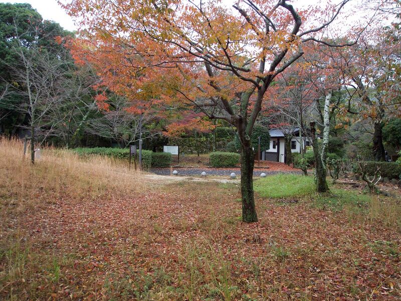 File:Kamei48.jpg