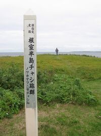 Nemuro4.jpg