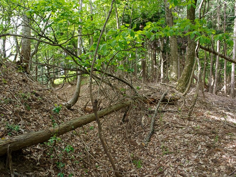 File:Shobudani16.jpg