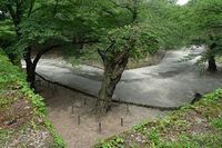 Wakamatsu8.jpg