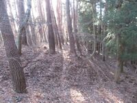 萩倉砦15.2.JPG