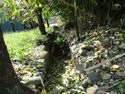 AinutRui (12).JPG