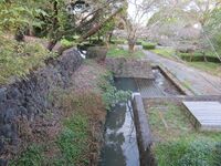 HizenKashimajou (37).JPG