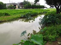 Honshōjijō22.JPG
