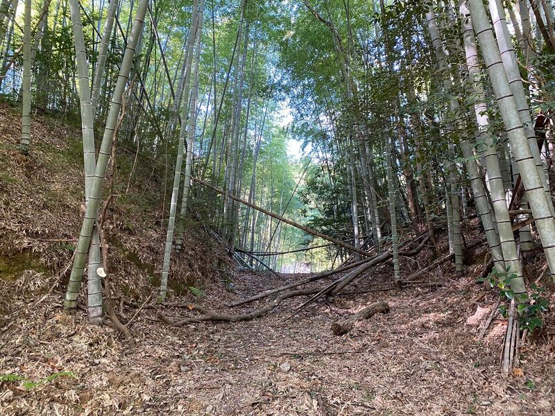 File:IgaHijiyamajou02.jpg