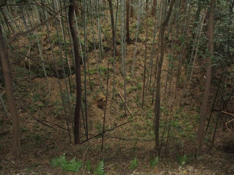 File:IseIchibajou007.jpg