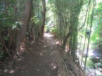 IwakiTaira (45).JPG