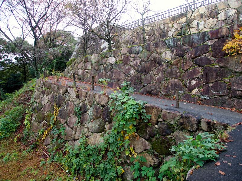 File:Kamei13.jpg