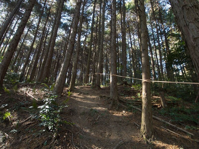 File:Kokashingushi2.jpg