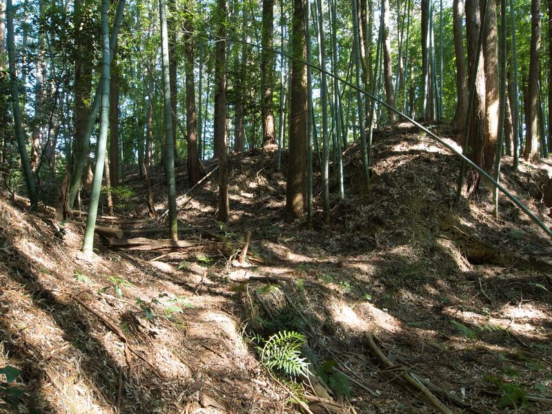 File:Mochizukishikoka3.jpg
