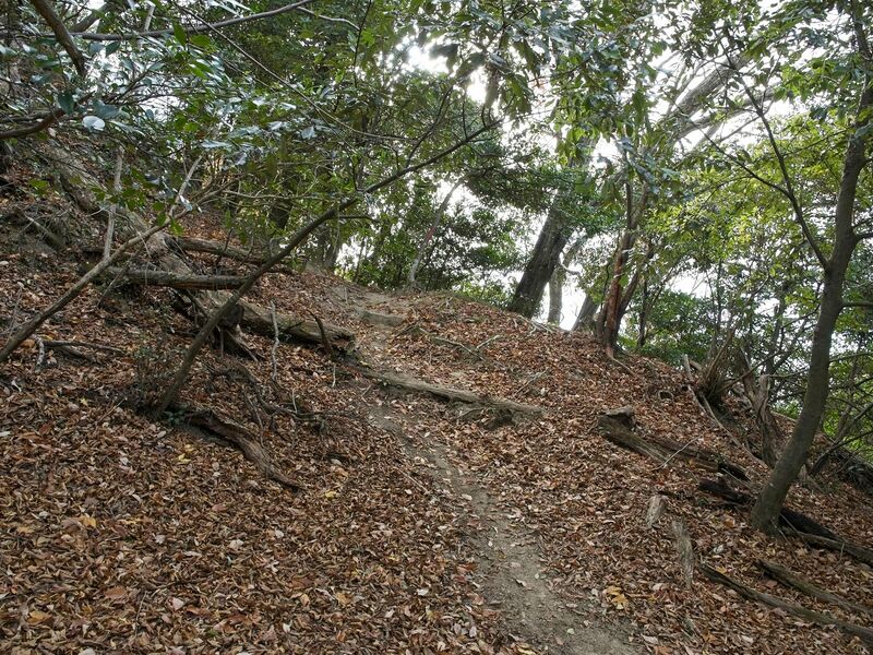 File:Nakaokyoto3.jpg