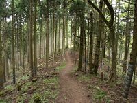 Shizugatake28.jpg